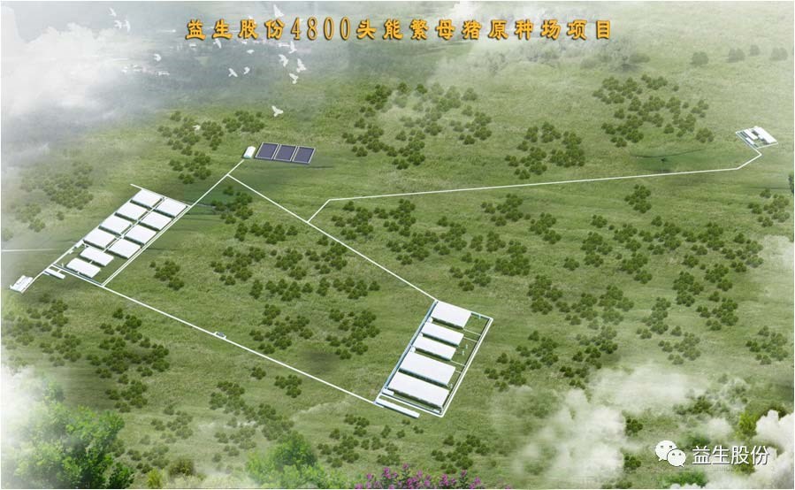 【喜讯】黑龙江yw永旺快投网种猪繁育有限公司原种猪场建设项目开工