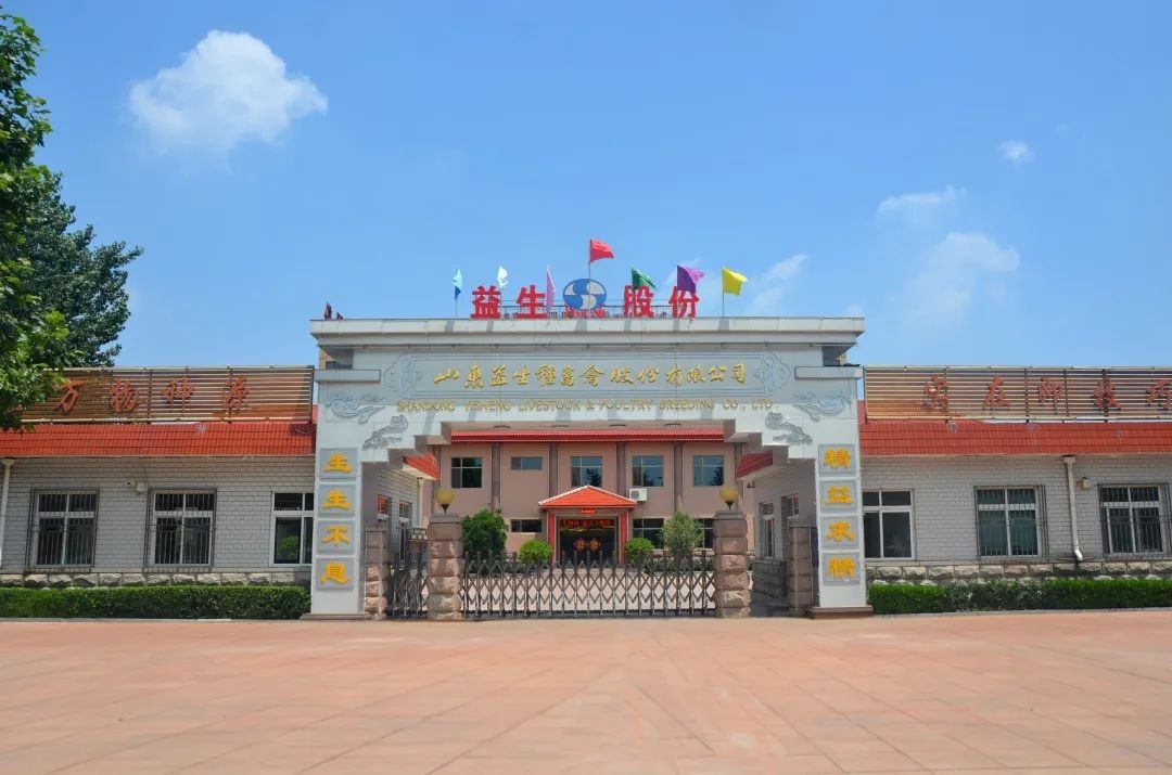 【庆祝】风雨兼程十二载，砥砺奋进走在前——热烈庆祝yw永旺快投网股份上市12周年